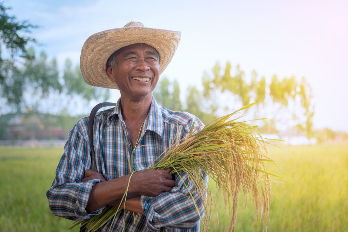 Thai Farmer